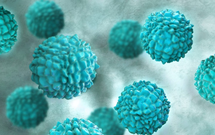 Corona Virus Belum Beres, Muncul Norovirus, Berikut Cara Pencegahan dan Gejala Serta Komplikasinya