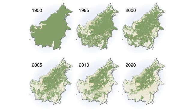 Polemik Peta Hutan Kalimantan Mengikis & Ancaman Banjir Besar