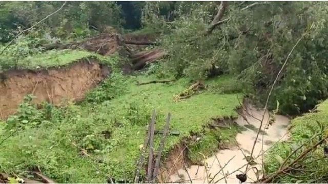 Fenomena Tanah Bergerak di Aceh Besar, Pohon-pohon Tumbang, Sejumlah Makam Rusak