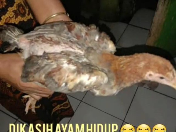 Warga Cianjur Heran Kok Dana Bansos Malah Diberi Ayam hidup 