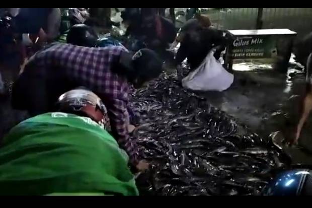 Truk Bermuatan Ikan Lele di Jalan Raya Serpong Dilaporkan Terguling, Warga Rebutan Bawa Pulang