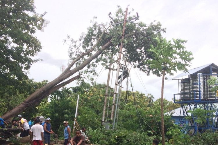 PLN Jatim Amankan Jaringan Listrik dari Ancaman Pohon Tumbang