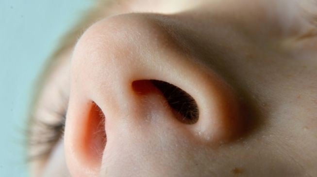 Keluarkan Bau Busuk saat Bersin, Ternyata Ada Peluru di Hidung Remaja Ini