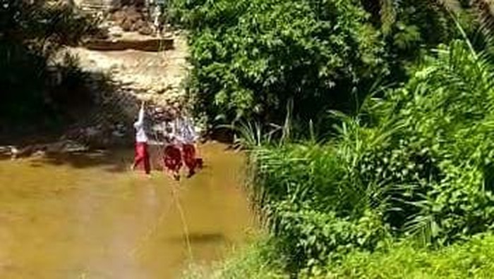 Bupati Kampar Cek Lokasi Siswa SD Seberangi Sungai Pakai 'Keranjang Terbang'