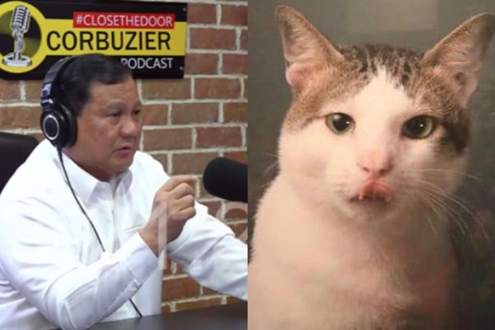 Cerita 'Bobby' Kucing Prabowo yang Menarik Perhatian Netizen, Kucinya Punya Sikap Seperti Bos 
