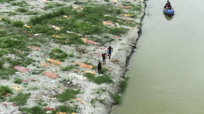 Ratusan Mayat Pasien Covid-19 yang Sudah Dikubur Bermunculan di Dekat Sungai Gangga, Berikut Fotonya