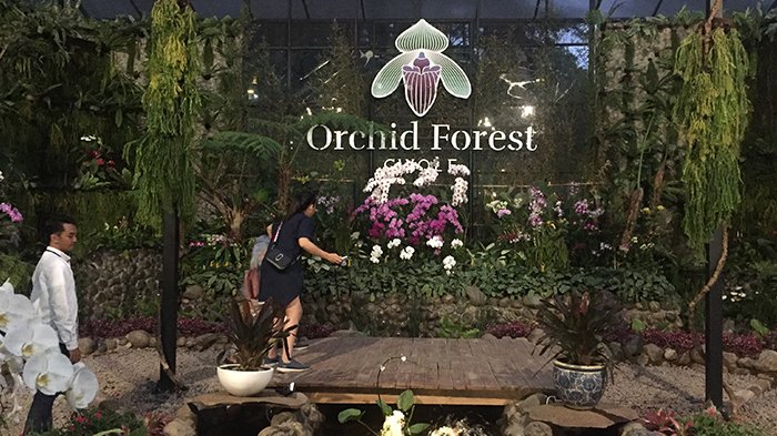 KBB Sudah Memasuki Zona Oranye, Objek Wisata Orchid Forest Cikole Hadirkan Spot Terbaru Untuk Tarik Wisatawan  