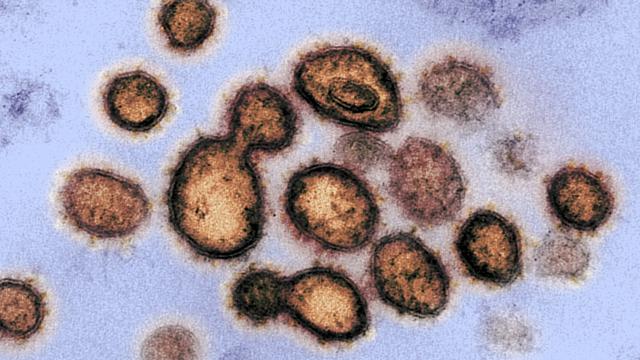 WHO Temukan Varian Virus Terbaru Bernama Lamda 