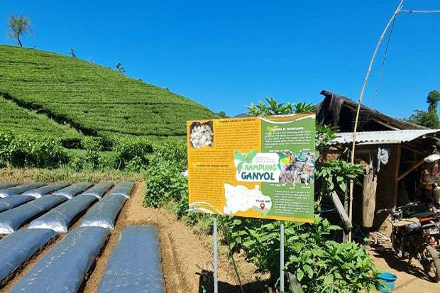 Menerapkan Konsep Quadruple Helix, Pemkab Bandung Barat Kembangkan Desa Wisata Tematik