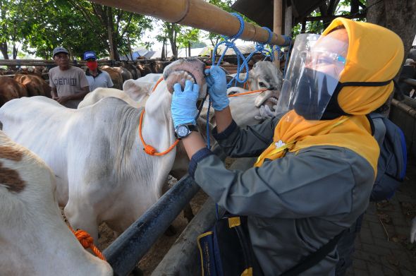 Dinas Ketahanan Pangan Kota Tangerang Lakukan Pemeriksaan Hewan Kurban