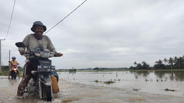 Banjir di Sumut, Ribuan Rumah Terendam-Ratusan Hektare Sawah Rusak
