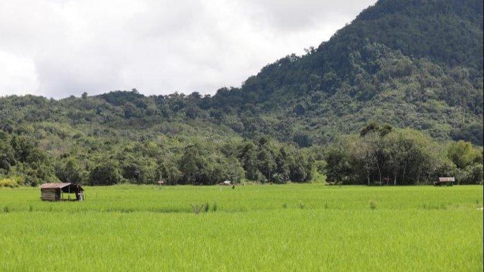 Ekonom Senior Rizal Ramli dan Emil Salim Mengapresiasi Pertumbuhan Sektor Pertanian 