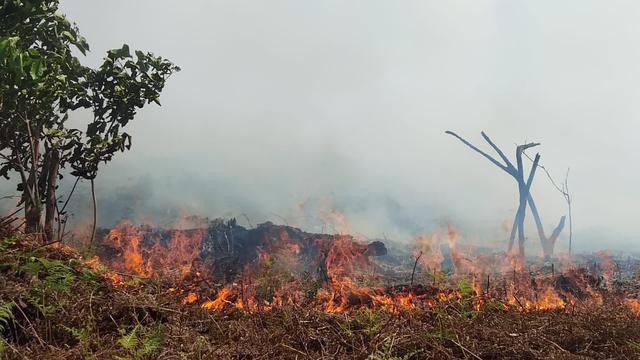 Kebakaran Hebat Terjadi di Bener Meriah Aceh, Sembilan Rumah Warga Ludes Dilalap Api