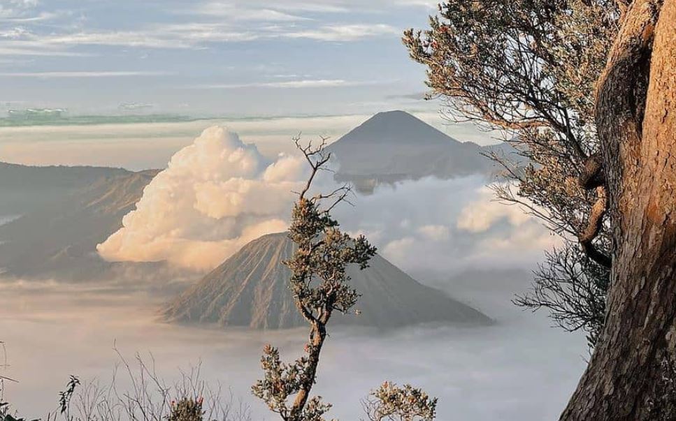 Asyik Gunung Bromo Buka Lagi, Netizen: Gaskeun Lah!