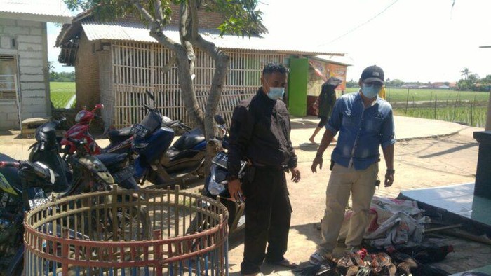 Judi Sabung Ayam di Karawang Digerebek Polisi, Para Pelaku Melarikan Diri   