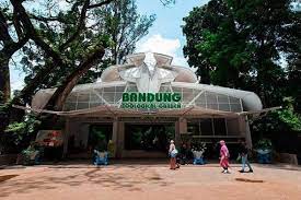 Kebun Binatang Bandung Dibuka Lagi, Kapasitas Pengunjung 25%  