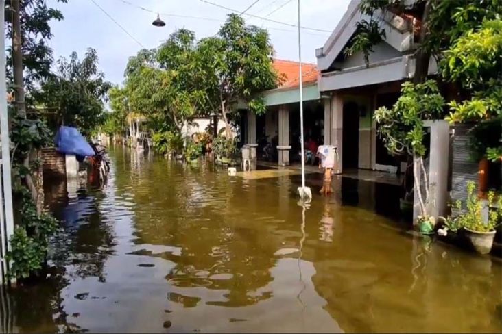 Curah Hujan Tinggi, Sekitar 2.000 Rumah dan 4.000 Hektare Tambak di Lamongan Terendam Banjir