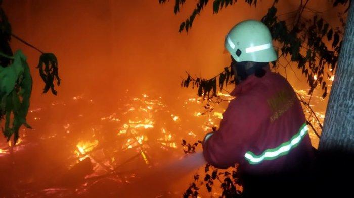 Kandang Kebakaran, 8.000 Ekor Ayam Boiler di Bandung Barat Terpanggang, Pemilik Rugi Sampai Ratusan Juta   