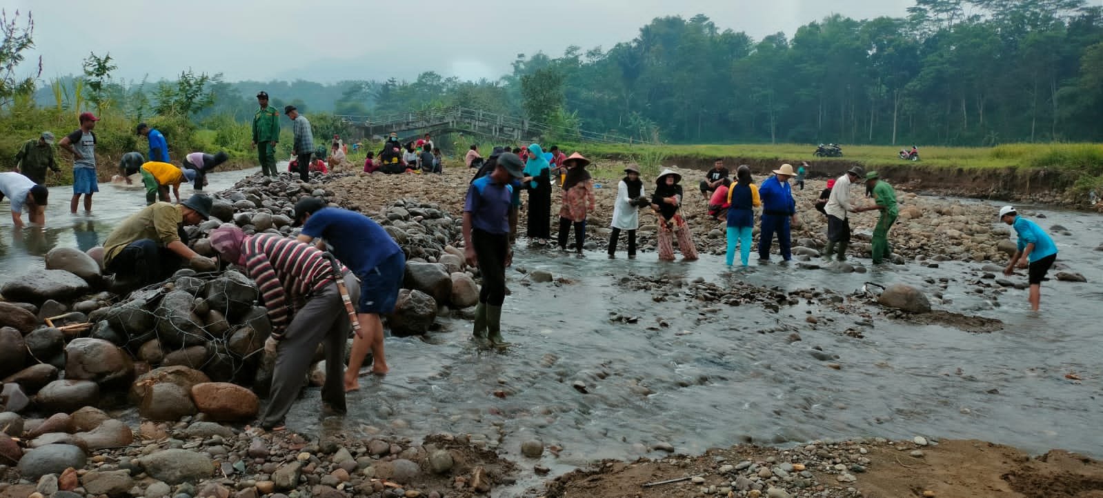 Banjir Desa Cikadu Merusak 20 Hektar Sawah Dan Menggerus Badan Jalan