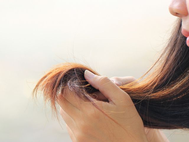 Inilah Beberapa Cara Merawat Rambut Kering, Salah Satunya Gunakan sampo Khusus