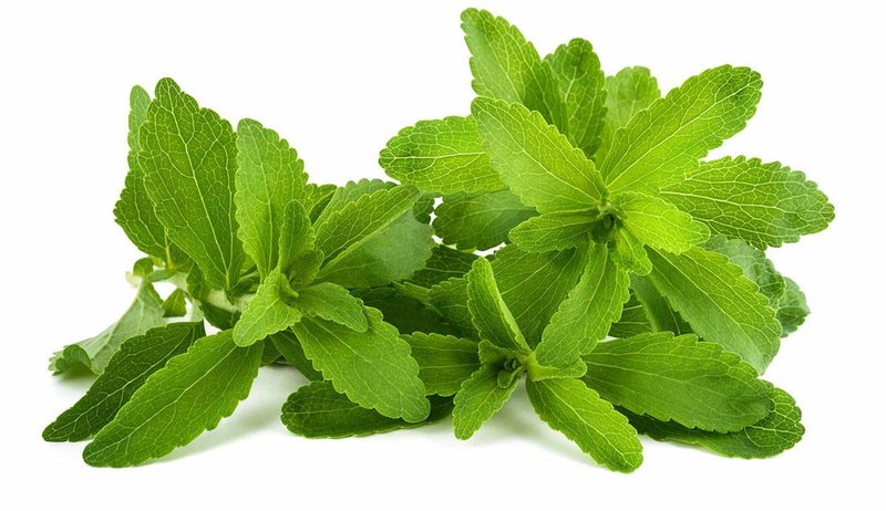 Berikut Beberapa Manfaat Stevia, Daun Herbal Pengganti Gula yang Menyehatkan Tubuh