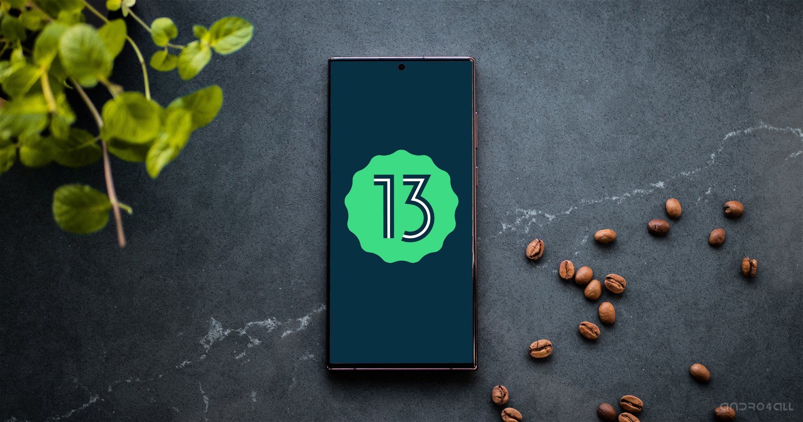 Android 13 Resmi Diluncurkan, Debut di Ponsel Google Pixel