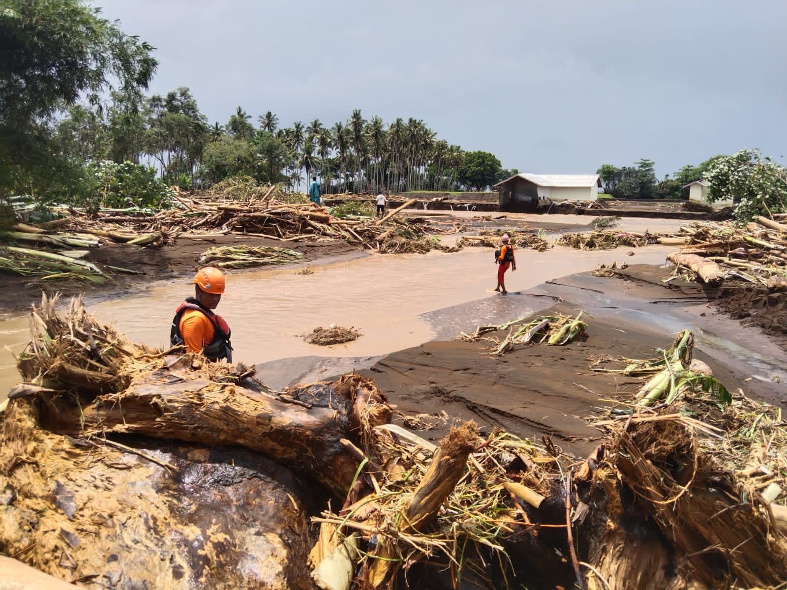 Bencana Banjir Bandang dan Longsor di Bali Sebabkan 6 Nyawa Melayang 