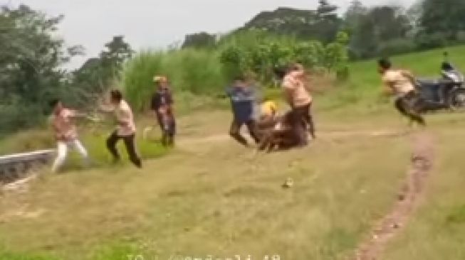 VIRAL ! Segerombolan Anak SMP Tawuran Gunakan Tangan Kosong, Warganet Lontarkan Pujian ''Mantap, setidaknya kalian jantan, gak pakai sajam''