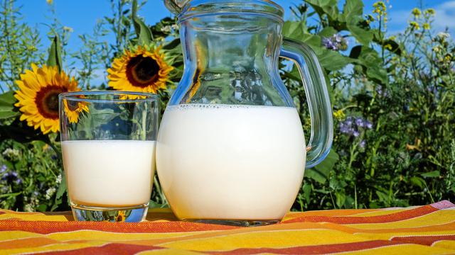 Berikut Beberapa Manfaat Susu Segar untuk Kesehatan dan Kecantikan