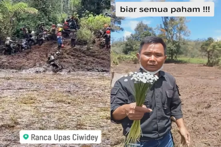 Bunga Langka di Ranca Upas Hancur Tergilas Oleh Event Motor Trail, Bupati Bandung Kecam Kegiatan Meruasak Lingkungan ! 