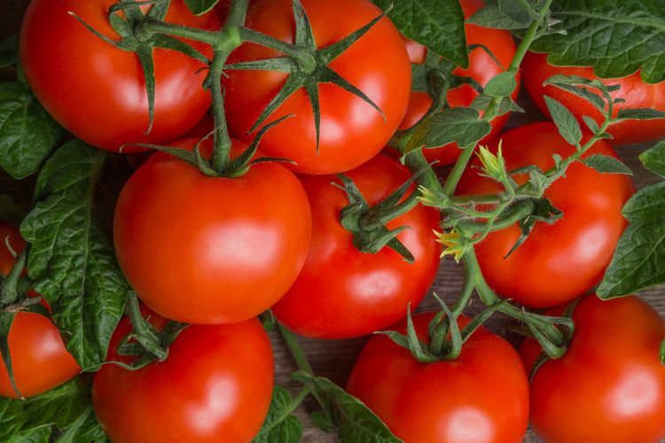 Berikut Beberapa Manfaat Tomat untuk Kesehatan Tubuh