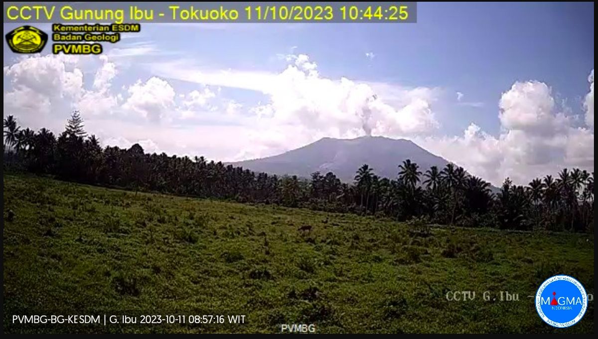 Gunung Ibu di Halmahera Barat Erupsi, Tinggi Letusan 800 Meter di Atas Puncak