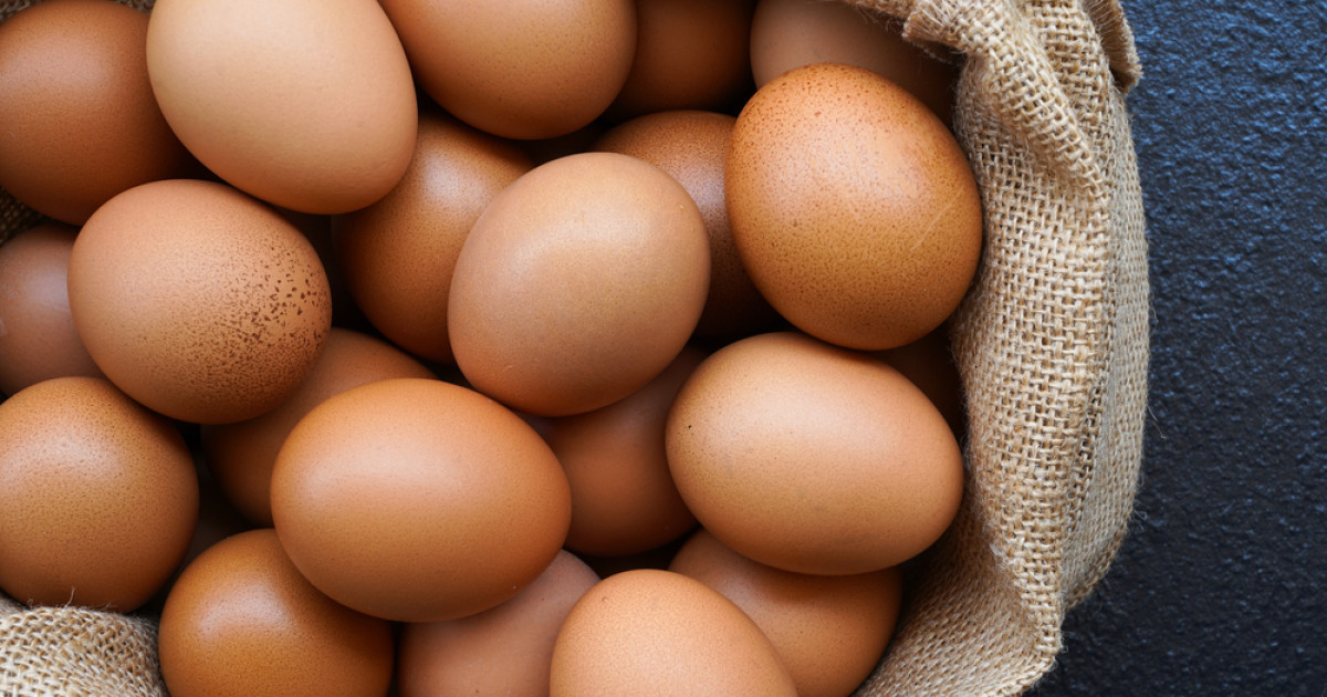 Berikut Tips Memilih Telur Ayam yang Berkualitas