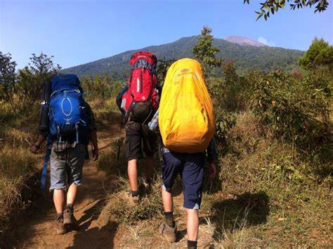 13 Pendaki Tersesat di Gunung Pangrango Berhasil Ditemukan