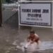 Viral Video Bikin Ngakak Seorang Pria Naik Babi Untuk Terobos Banjir di Cengkareng, Jakbar