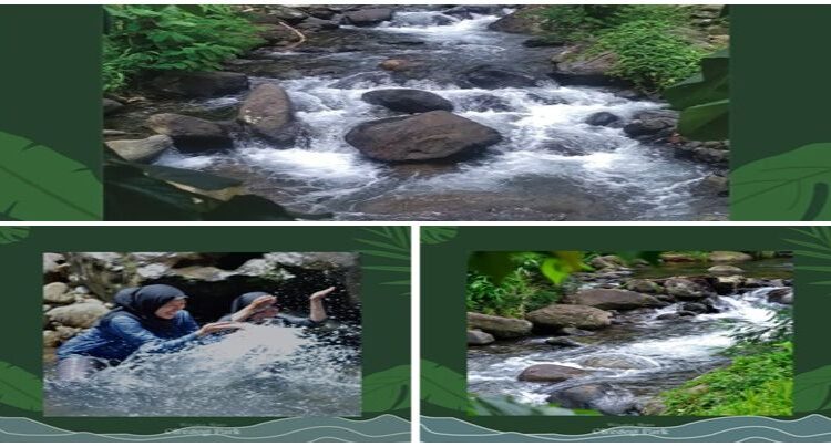 wisata alam cireong