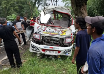 Kecelakaan Maut Pikap Tabrak Pohon di Garahan Jember (Facebook/Januari Setiawan)