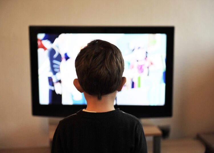 Jadwal Acara Indosiar Hari Ini 19 Februari 2025 (Pixabay/Vidmir Raic)
