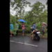 Pengendara Motor Tertimpa Pohon Tumbang di Patrang Jember (Facebook/Riris Arya)