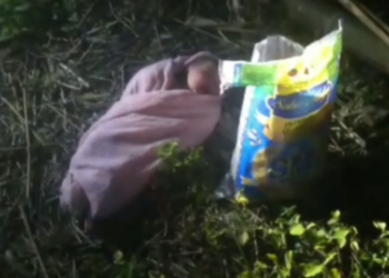 Bayi Perempuan Ditemukan Dalam Kondisi Hidup di Pekarangan Sruni Jember