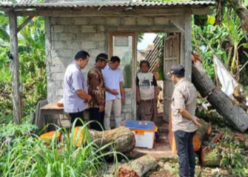Rumah Nenek 70 Tahun Asal Tulungagung Hancur Tertimpa Pohon
