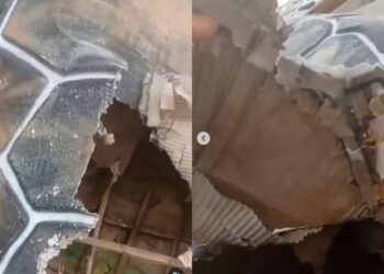 Viral Patung Penyu Diduga Seharga Rp 15 Miliar di Sukabumi Dibuat Dari Kardus