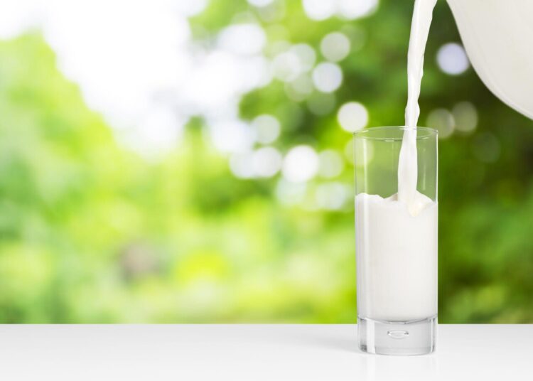 Bisa Bikin Berotot? Ini Sederet Manfaat Susu Sapi bagi Kesehatan