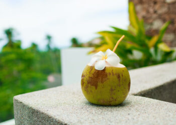 Sering Diremehkan, Ini Segudang Manfaat Buah Kelapa Buat Kesehatan, Bagus untuk Kulit?