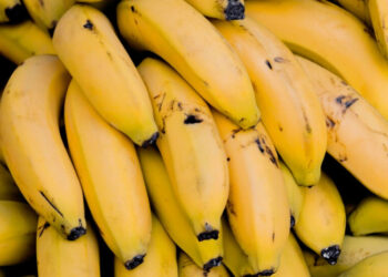 Jangan Dianggap Sepele! Ini Manfaat Buah Pisang untuk Kesehatan Tubuh Anda