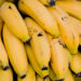 Jangan Dianggap Sepele! Ini Manfaat Buah Pisang untuk Kesehatan Tubuh Anda