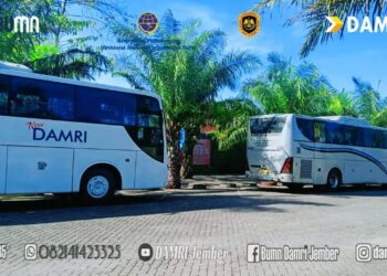 DAMRI Jember Buka Loker Full Time (Instagram/damri_jember)