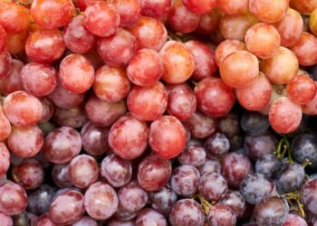 Tidak Terduga, Ini Manfaat Buah Anggur buat Kesehatan Tubuh, Apa Saja?