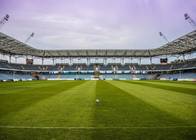 Live Man United vs Lyon Tapi Bukan Jalalive dan Kooora (Pixabay/Michal Jarmoluk)