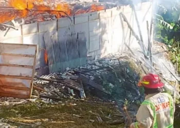 kandang ayam di malang (istimewa)